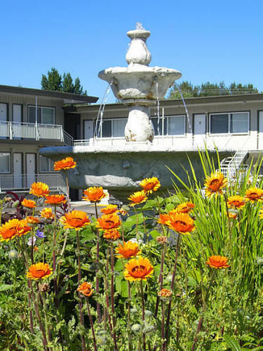 Comox Valley Inn & Suites Кортни Екстериор снимка